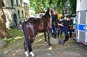 Polizeidirektion   091